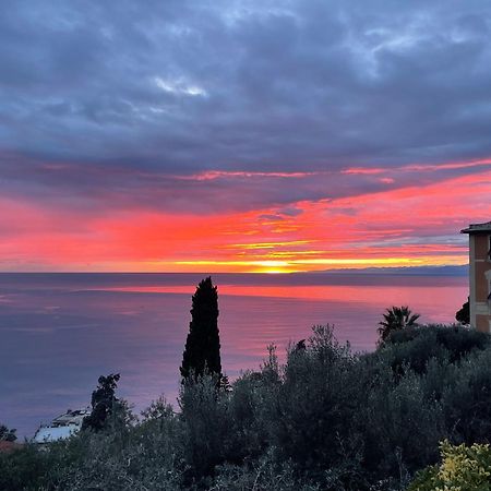 Villa Mortola كامولّي المظهر الخارجي الصورة