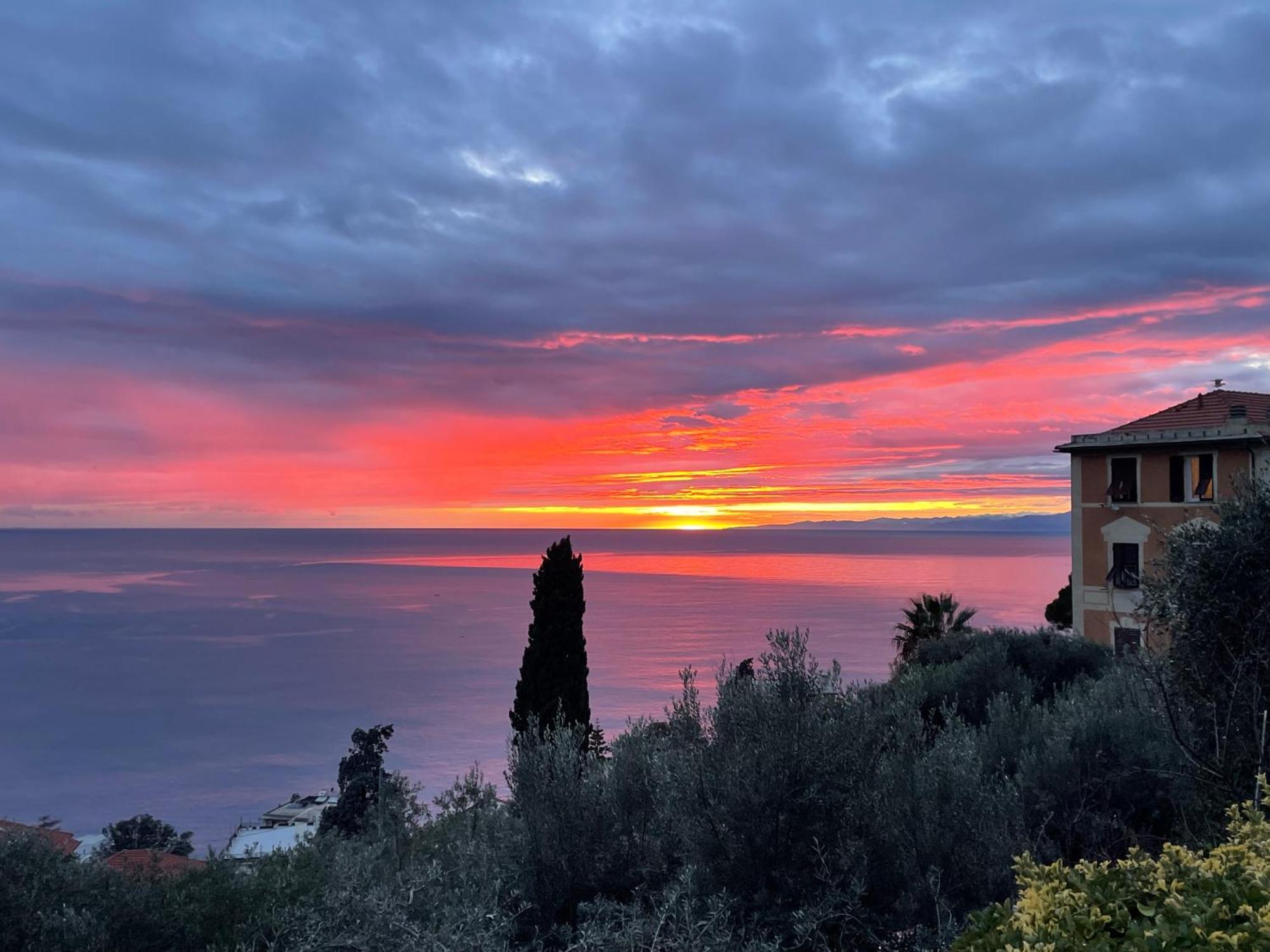 Villa Mortola كامولّي المظهر الخارجي الصورة